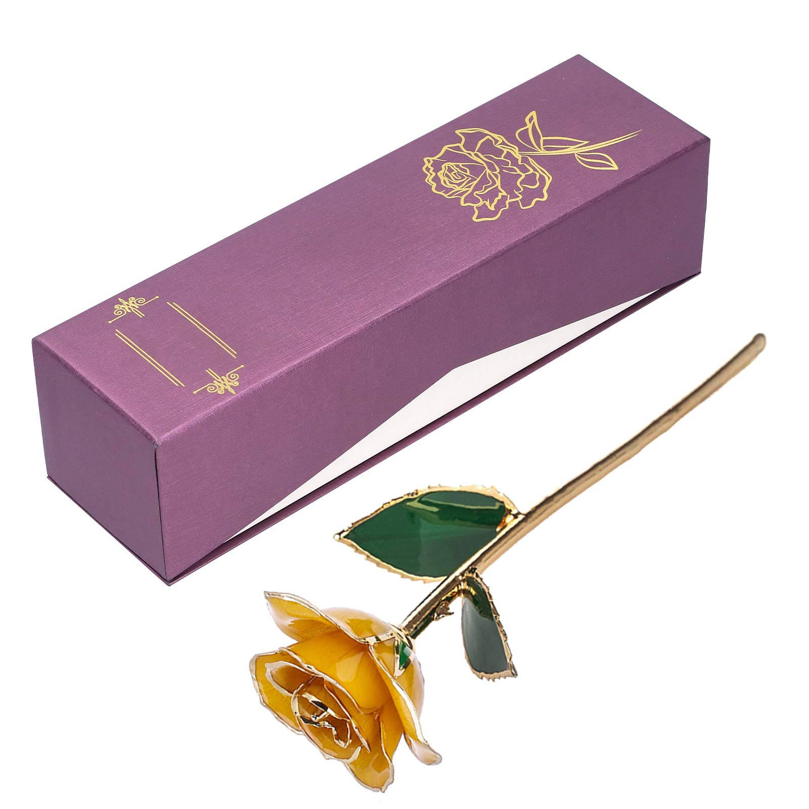 Dilwe 24K Goldbeschichtete Rose, Natürliche Form und Basis