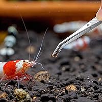 Vista 7 de Honoson 6 pinzas de acero inoxidable para manualidades con punta dentada curvada, pinzas multiusos para máquina de coser, pinzas a granel (plateado)