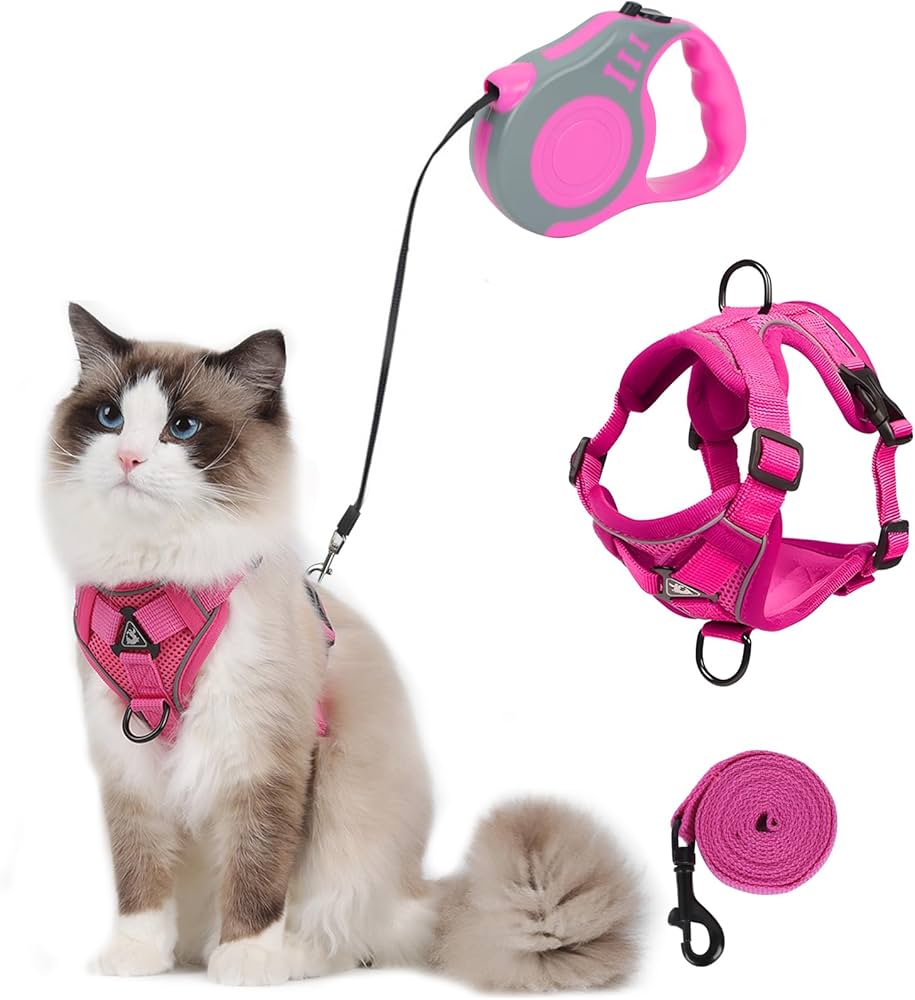 Gozallik bilan uy qurilishi jinsiy aloqa Plyajdagi dumba