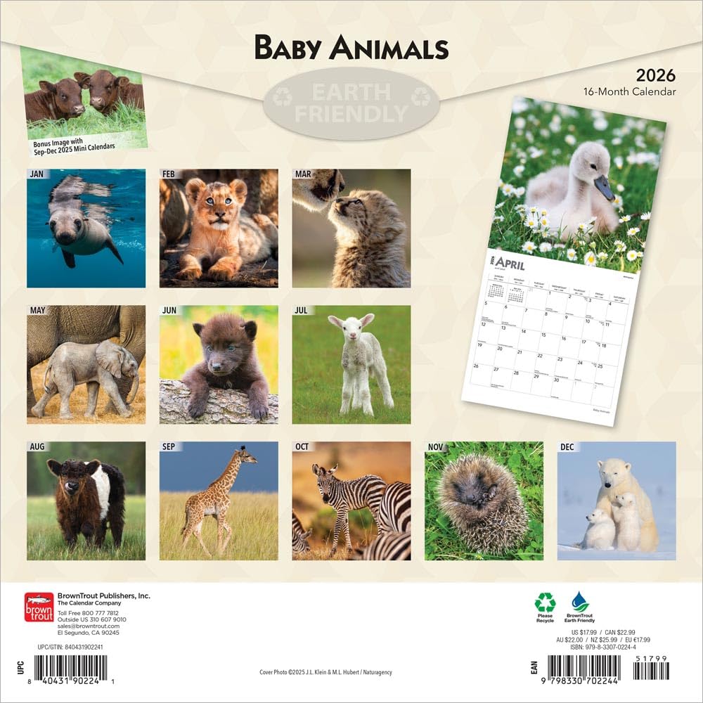 Baby Animals – Tierbabys – Tierkinder 2026 – 16-Monatskalender: Original BrownTrout-Kalender [Mehrsprachig] [Kalender]