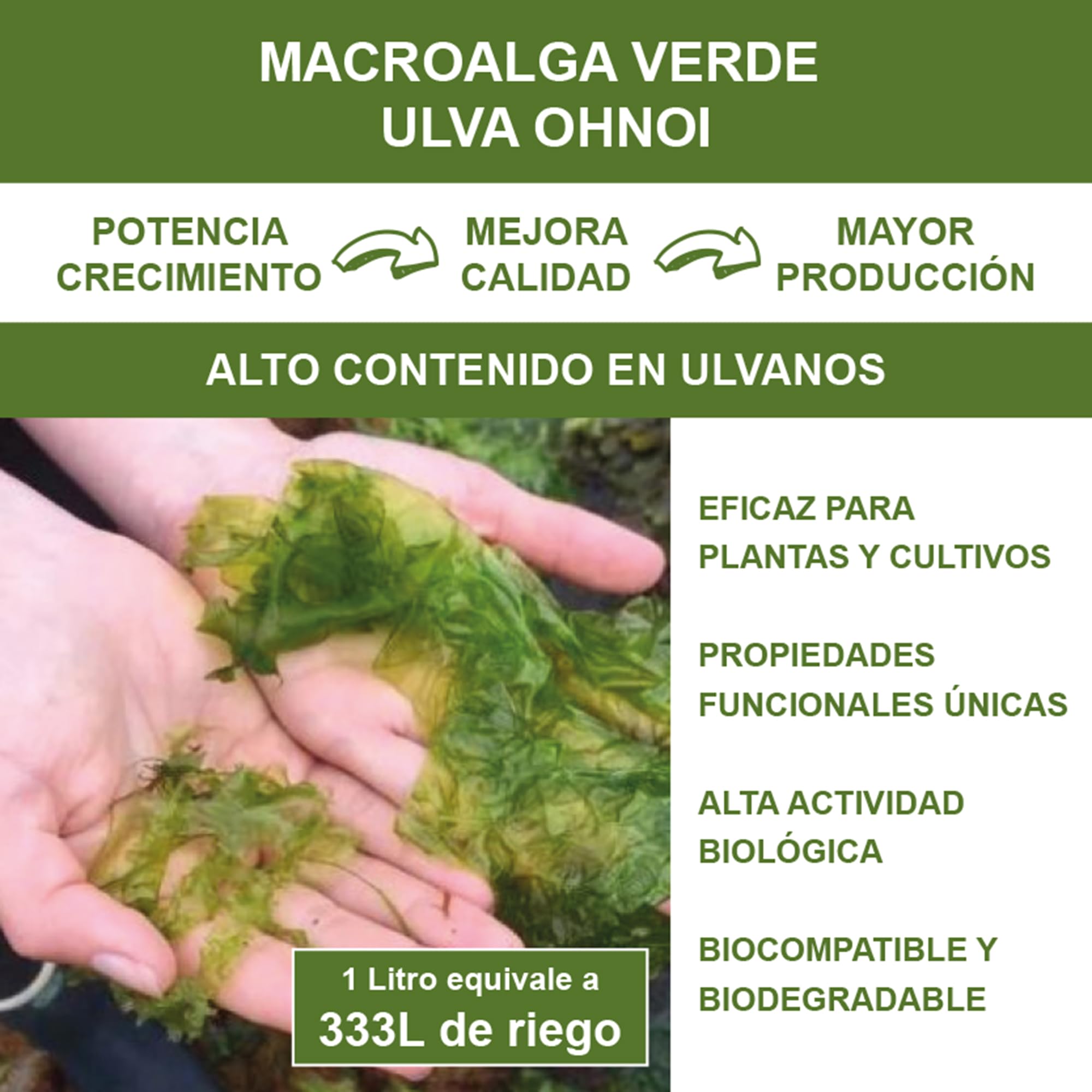 Abono Líquido Fertilizante Alga Ulva Premium Plantas Cultivos 5L. Orgánico y Universal: Huerto, Jardín, Césped, Interior. Rendimiento Todas Fases. Crecimiento, Resistencia, Foliar, Enraizante