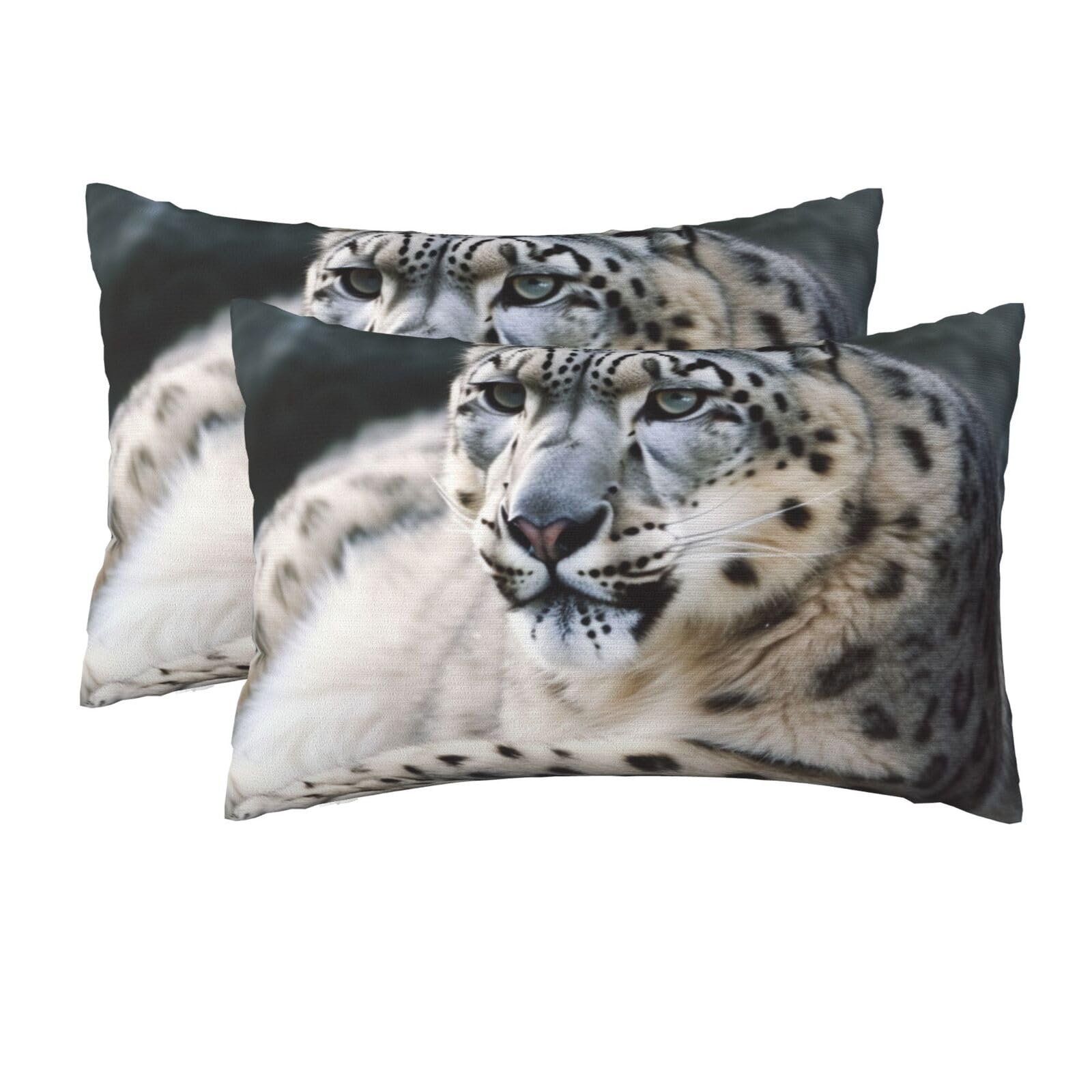 2 Pack Queen Pillow Cases with Hidden Zipper, Soft Breathable Pillow Covers for Hair and Skin, Snow Leopard Pillowcases 20"x30" Bed Pillow Protectors Cover for Sleeping Gifts