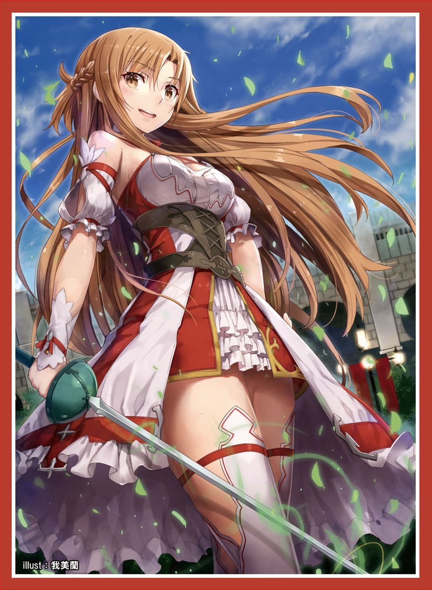 Amazon.co.jp: カードスリーブ 『ソードアート・オンライン -ホロウ