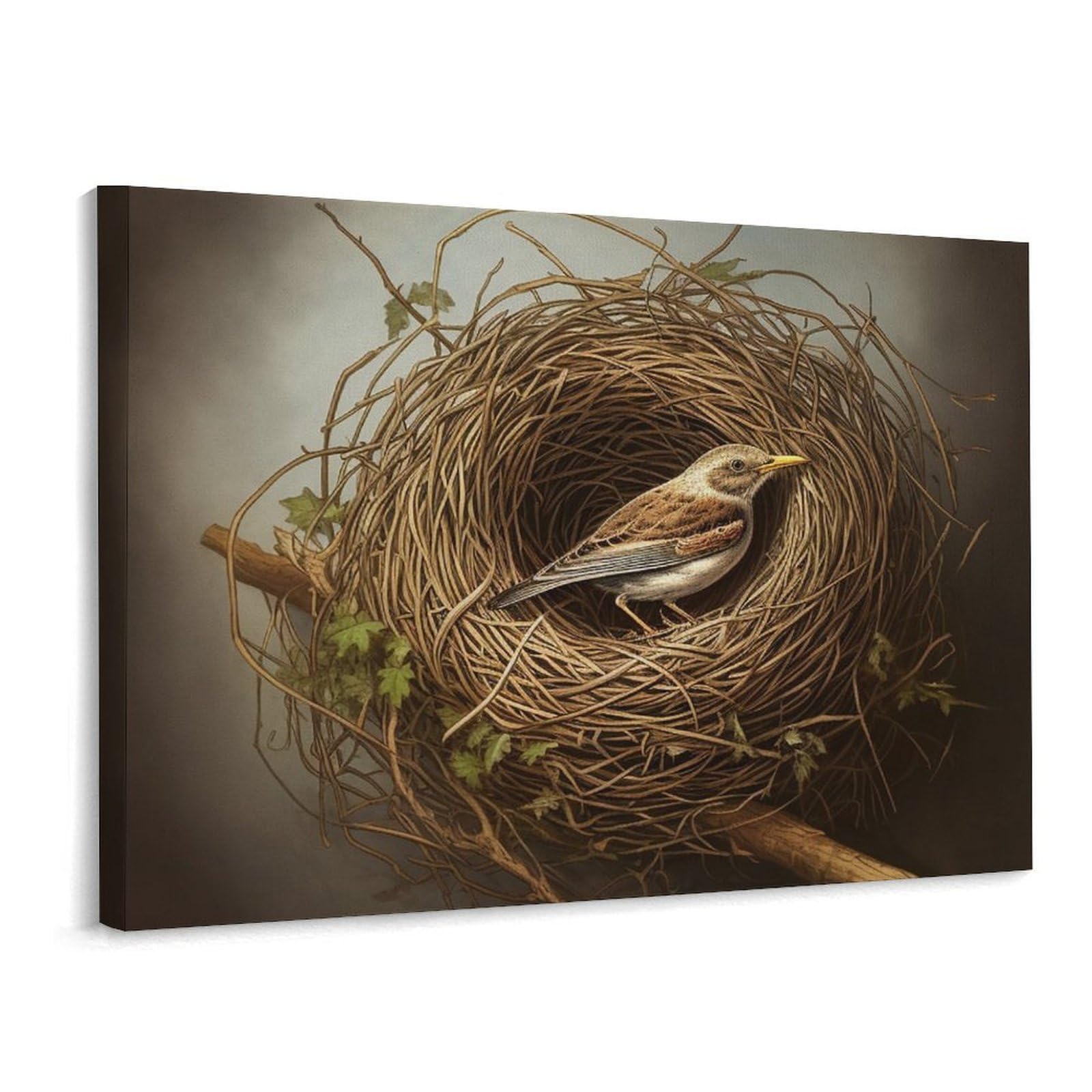 MXDLKSWPOH Canvas Wall Art for Living Room Prints Aesthetic Poster Canvas Paintings Prints Bird Nest Pictures ArtWork Office Wall Decor Modern Abstract Wall Art for Bedroom Home Decor 30x40 Cm