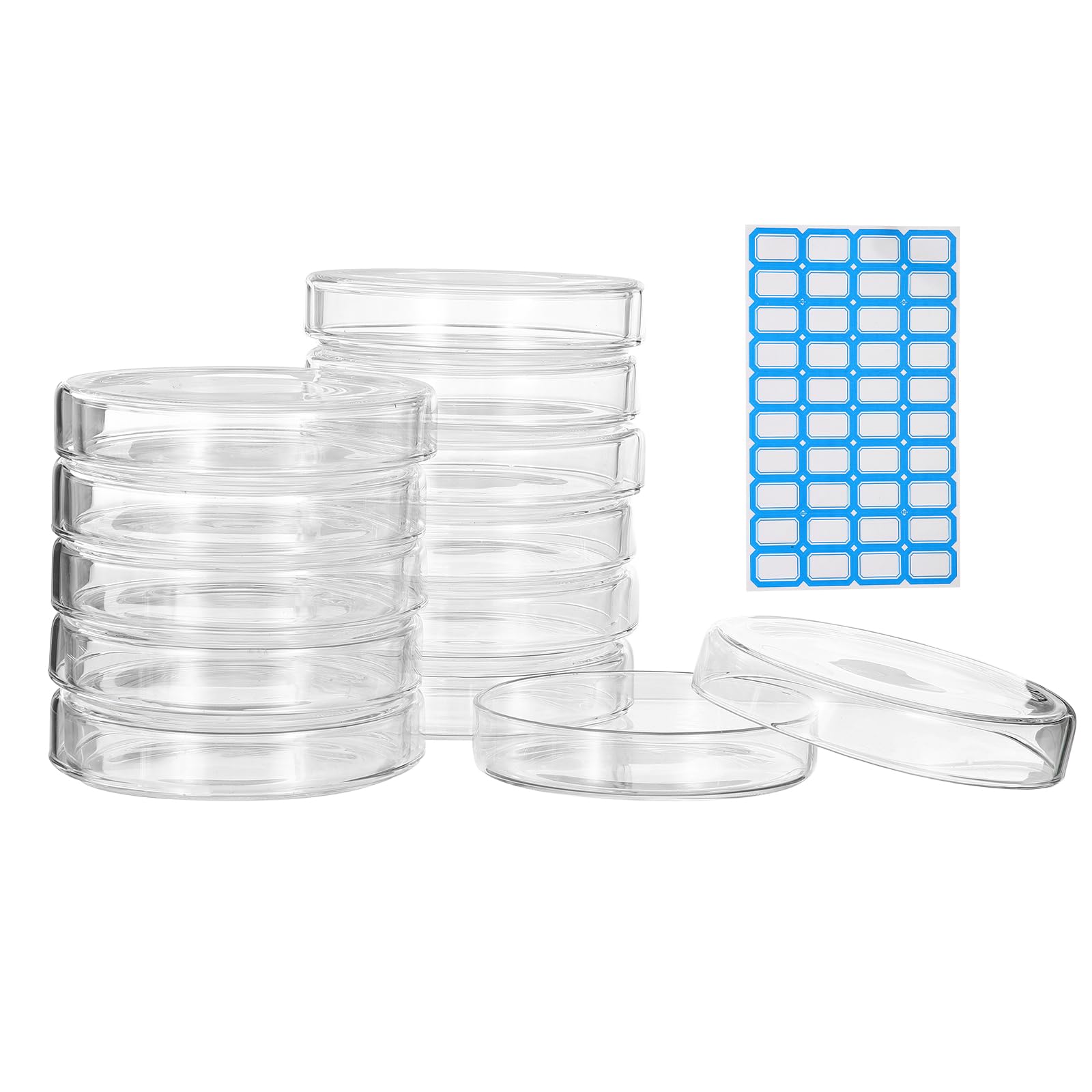 PATIKIL 12 Pezzi Vetreria Petri Con Coperchio, 120 mm Vetro Borosilicato Spesso Autoclavabile Piastre Coltura Laboratorio Etichette Per Esperimenti Scientifici Progetti Laboratorio