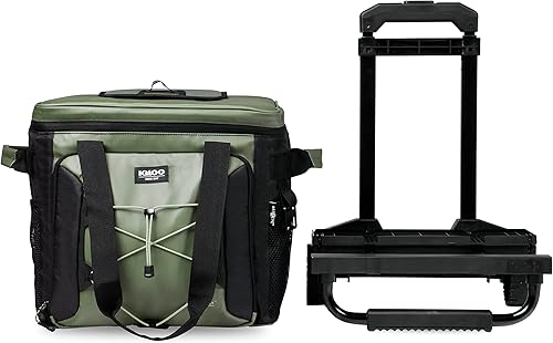 Igloo Olive - Enfriador plegable para 40 latas Voyager