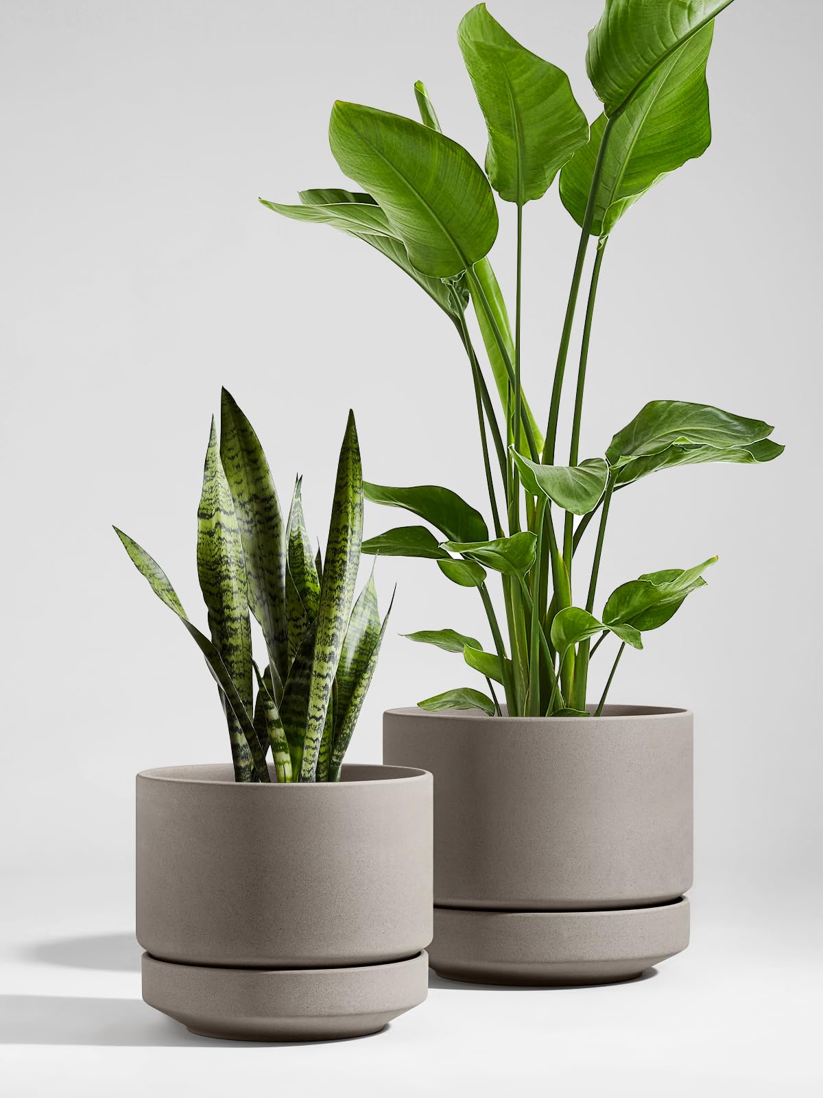 LE TAUCI Ceramiczna Doniczka 35 cm, Donica z Otworem Odpływowym i Podstawką, Nieszkliwiona Porowata Ceramika, do Domu, Patio i na Zewnątrz, Neutralna Szarość