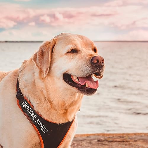 Miniatura 5 de Balacoo Chaleco reflector, parche de animal de apoyo emocional 2 pares de parches reflectantes para perros de perro, arnés extraíble para perros