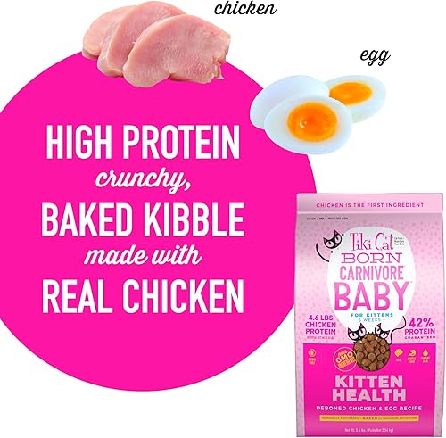 Miniatura 4 de Tiki Cat Born Carnivore Baby, alto en proteínas y sin granos, alimento seco completo y equilibrado para gatos para gatitos de 6 semanas en adelante,