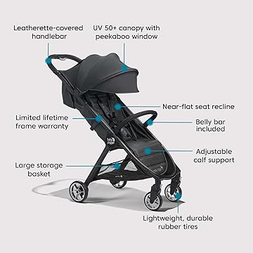 Amazon.com: Baby Jogger: City Tour 2 Strollers