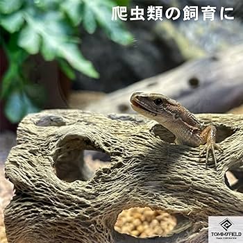 MJW-6618 ジンジャーウッド2本セット　天然流木　アクアリウム　爬虫類 MJW-6618 ジンジャーウッド2本セット 天然流木 アクアリウム 爬虫類