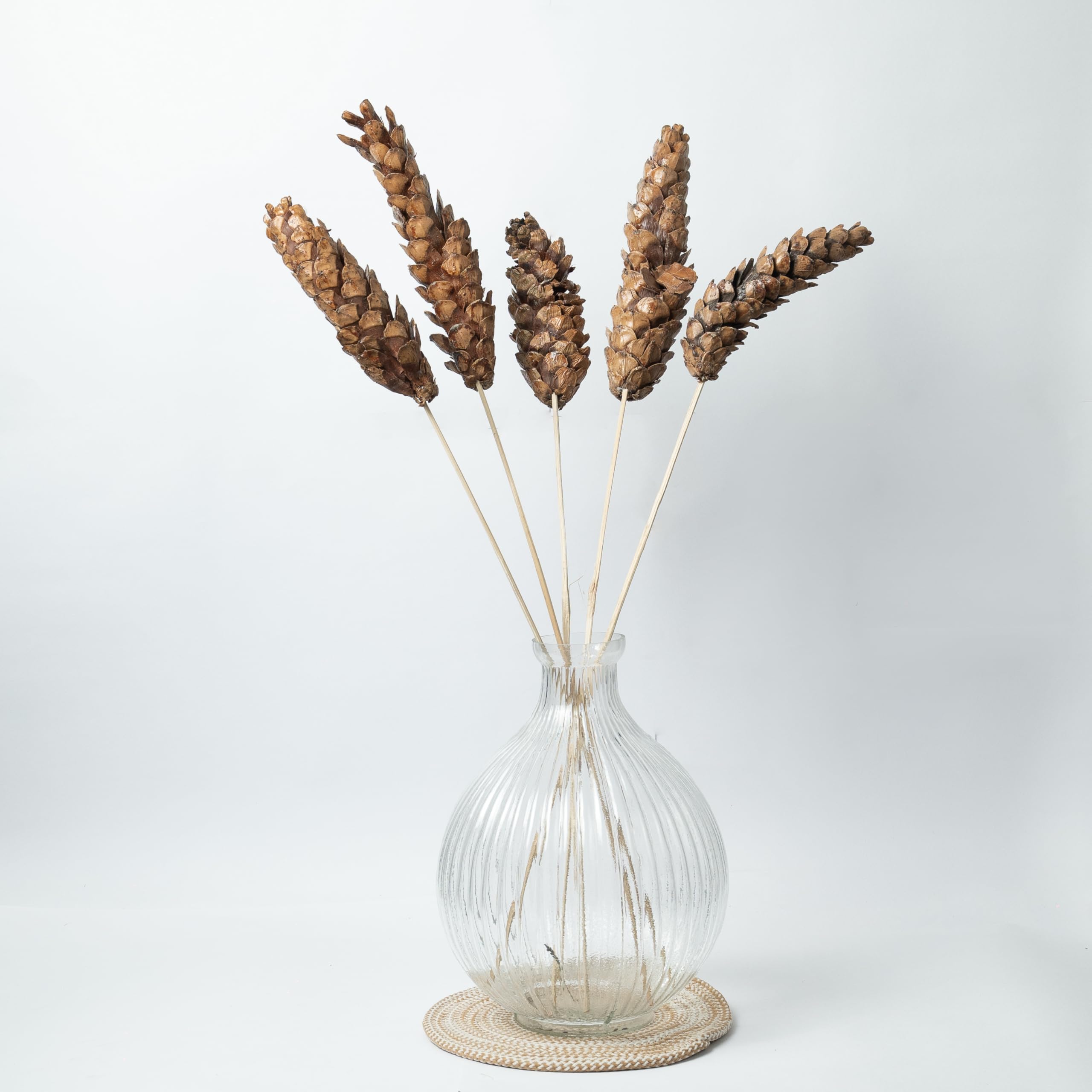 Dried Strobus Pine Cones |Set of 5 Sticks| Lightweight & Textured for Rustic & Festive Decor | Perfect for Wreaths, Vase Fillers & DIY Crafts(Natural)-image-5