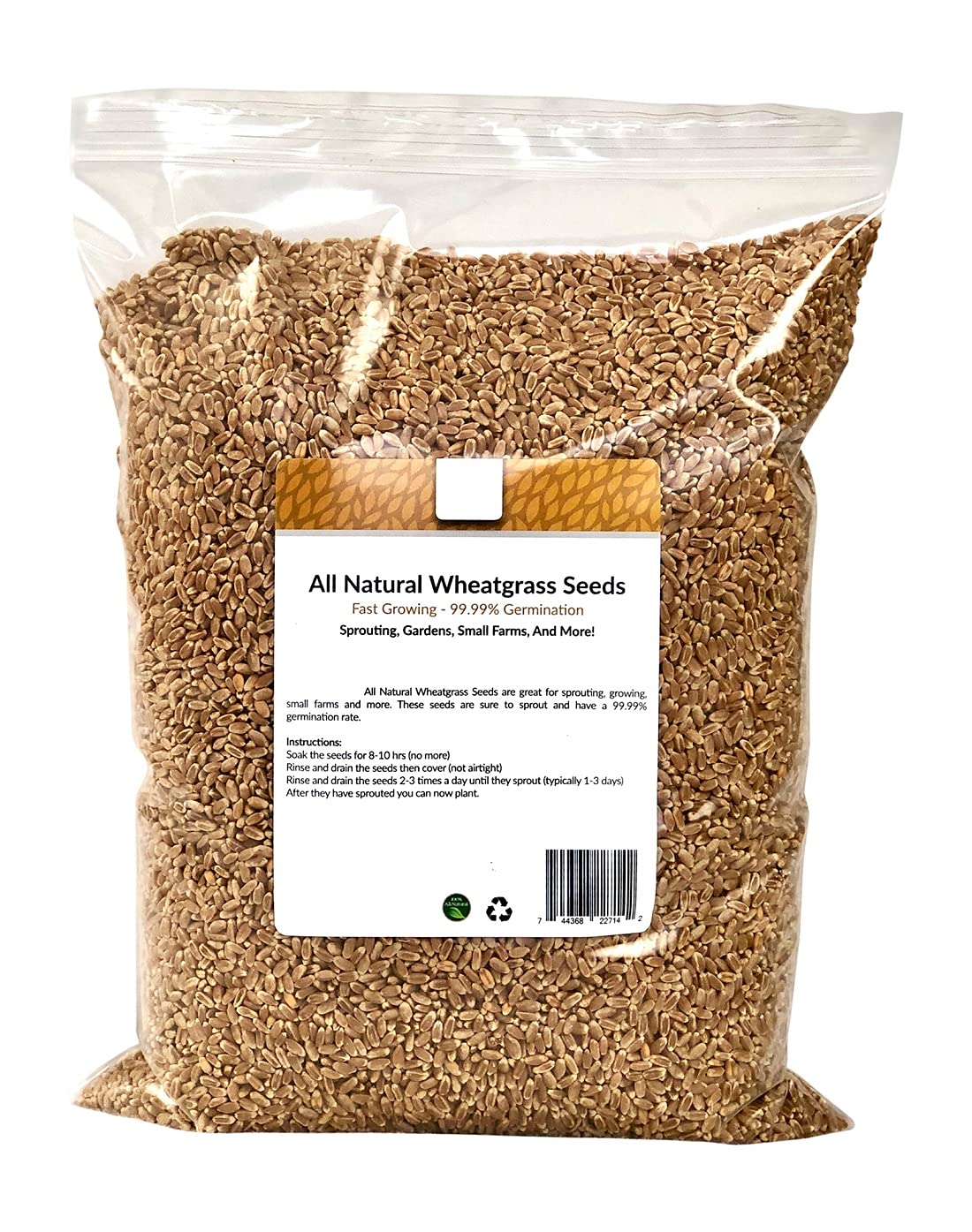 DIOART® IARI-826 Organic Wheat Grass Seeds, Healthy, Easy to Grow (B0CKX7HFSP) Amazon Price History, Amazon Price Tracker