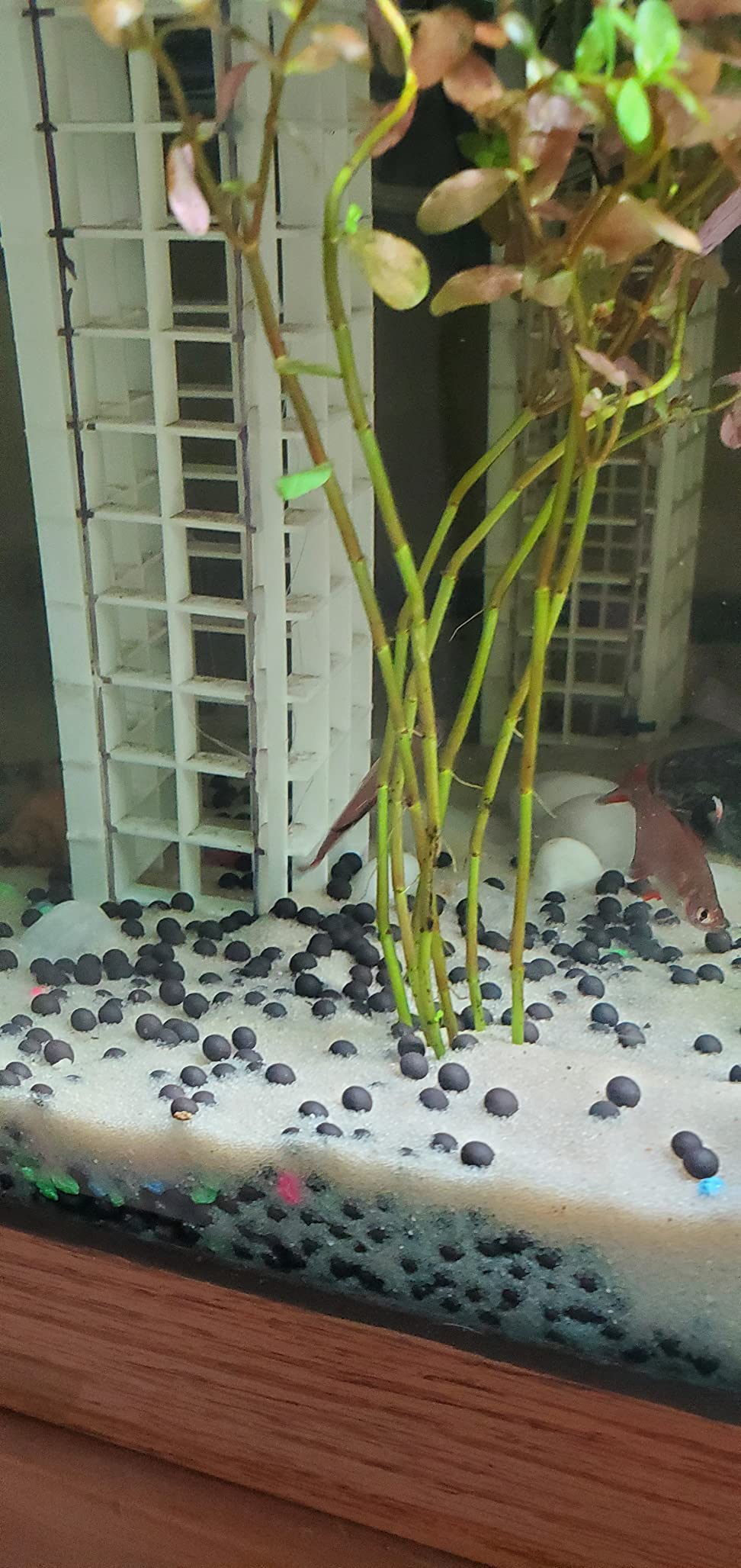 3/mo Finance AquaNatural Sugar White Sand 10lb Substrate for