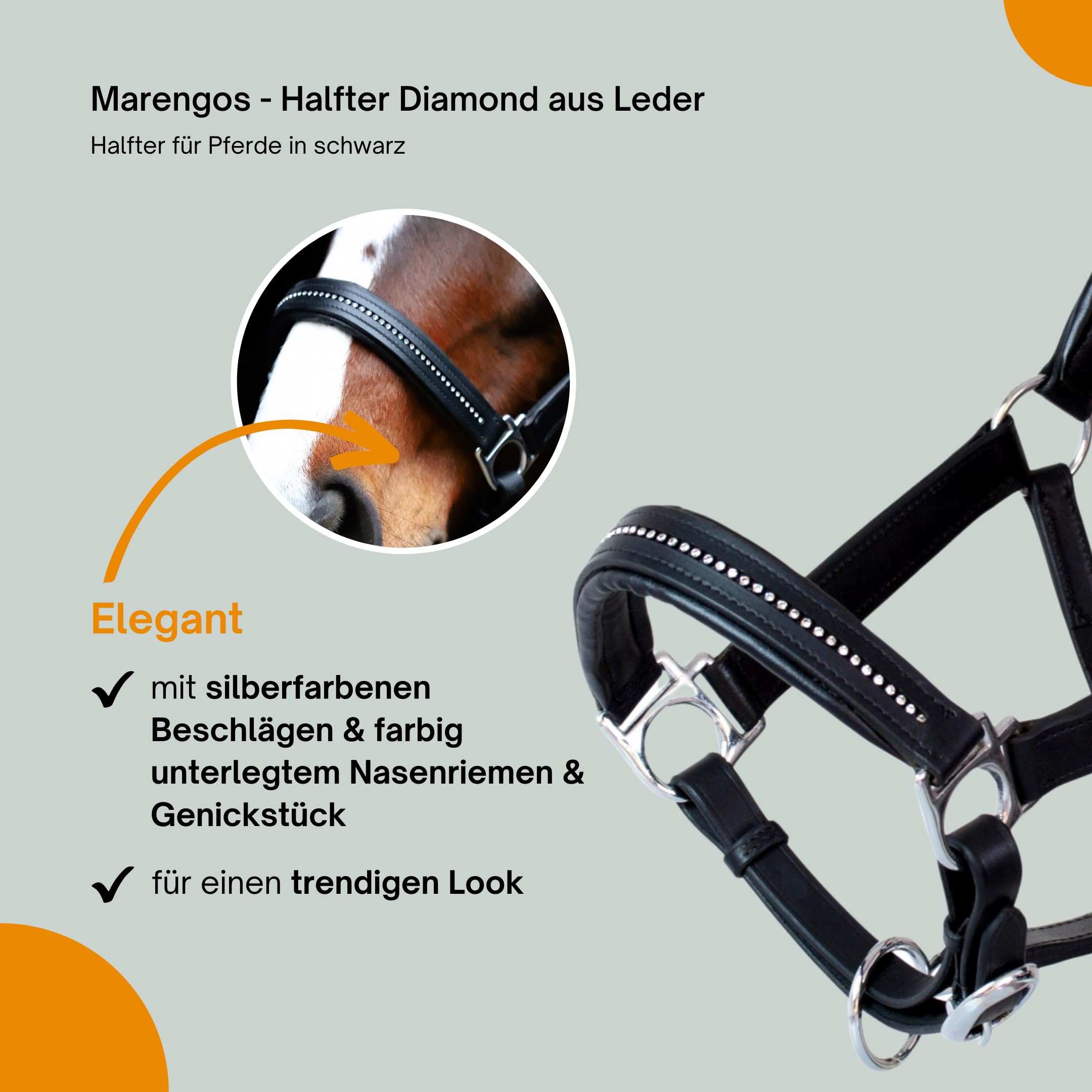 Marengos - Halfter Diamond aus Leder | Halfter für Pferde | Pferdehalfter mit farbig unterlegtem Nasenriemen & Genickstück | edles Lederhalfter | Pferde Zubehör in Schwarz | Warmblut