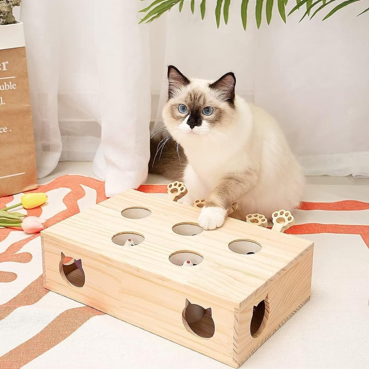 Juguete desplegable para gatos, juguetes interactivos de madera maciza para gatos de interior, juego de atrapar ratones.