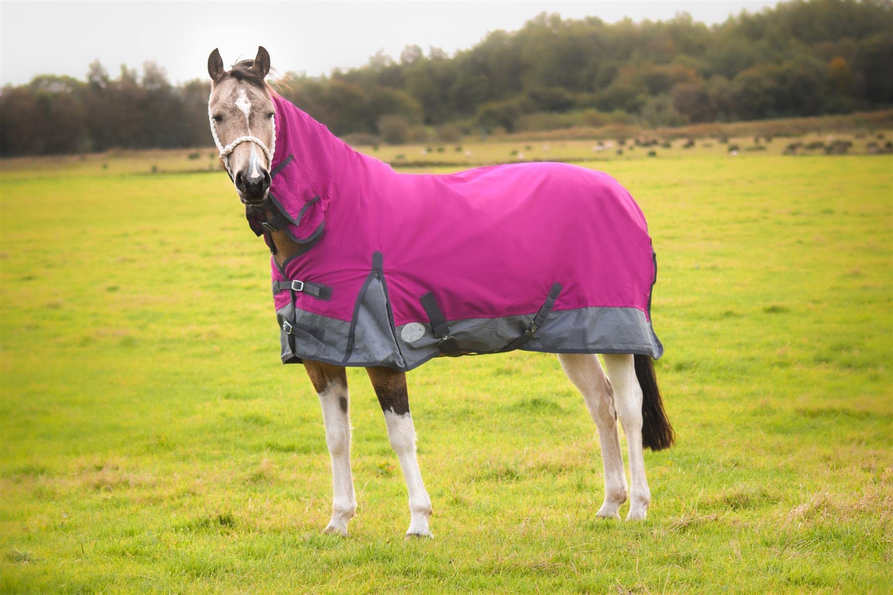 Equitack Turnout Rug For Horses | Heavy-Duty 1200 Denier Polyester Ripstop Lightweight Breathable Blanket With Full Neck | Raspberry/Grey, 5ft 3in