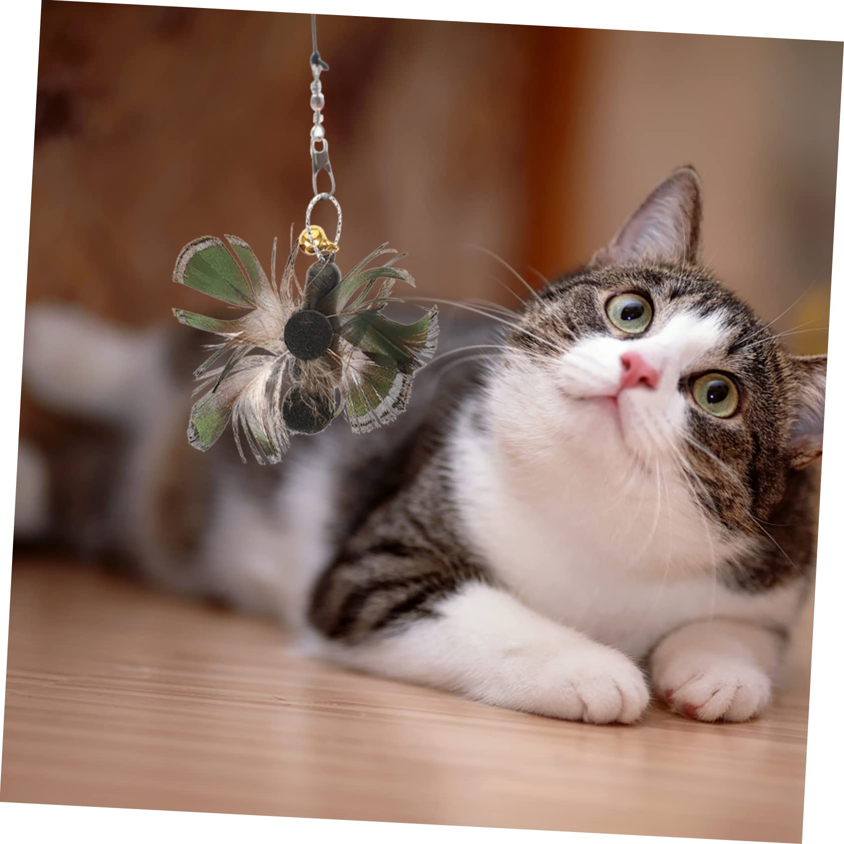 Toddmomy 24pièces Têtes De Remplacement pour Canne à Chat avec Jouets Insectes Et Plumes Accessoires Interactifs pour Chats Amusants Et Stimulants