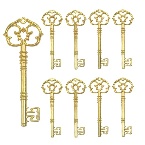 Aokbean 20Pcs Vintage Skeleton Key Charms for Jewelry Making, Extra