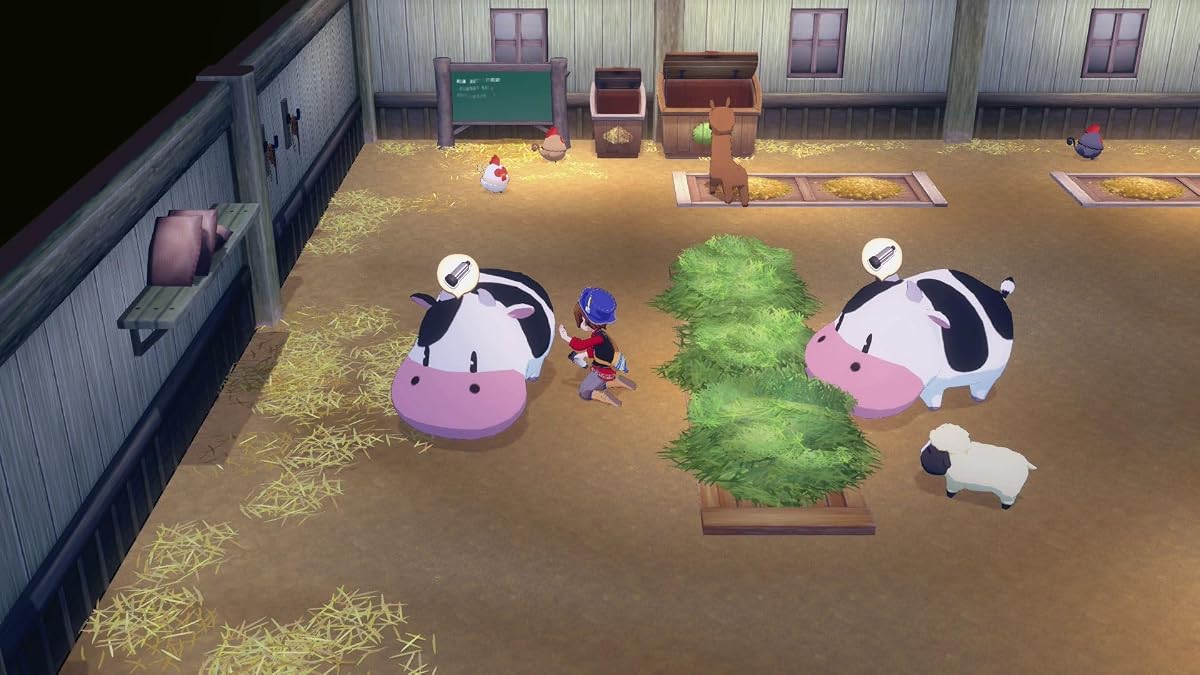 Story of Seasons: Grand Bazaar Limited Edition – Switch