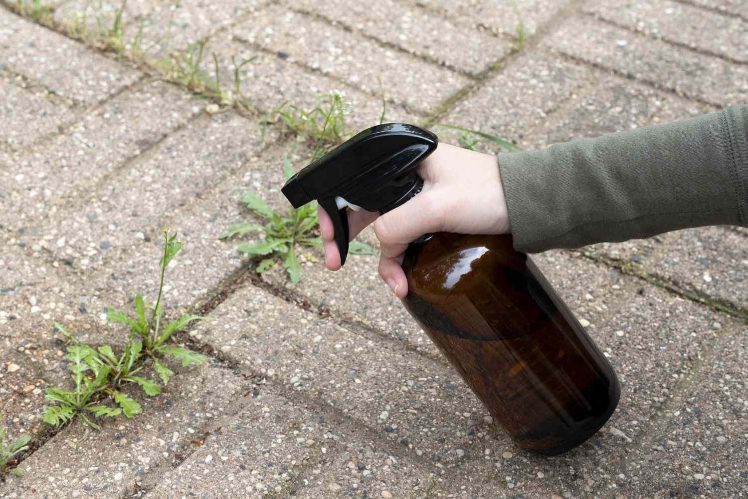 WEED CONTROL LIQUID for removing unwanted plants 1 Lit (B0D6LN9N4W) Amazon Price History, Amazon Price Tracker