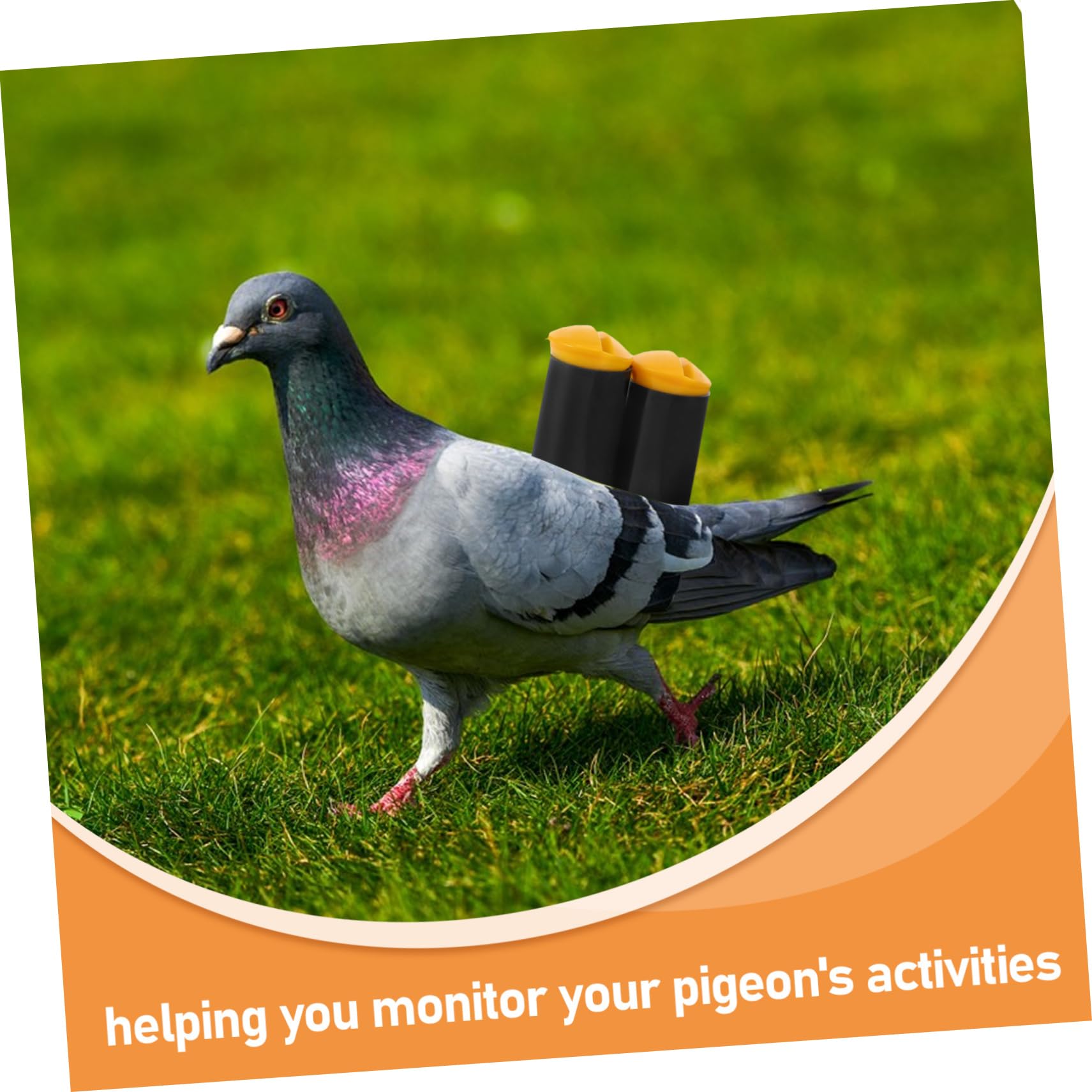 Levemolo Effective Pigeon Tail Whistle Basketball Whistle for Boys and Girls Bird Caller Pet Bird Training