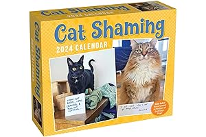 Cat Shaming 2024 Day-to-Day Calendar: Hilarious Cat antics and Mischievous Memes for Daily Chuckles