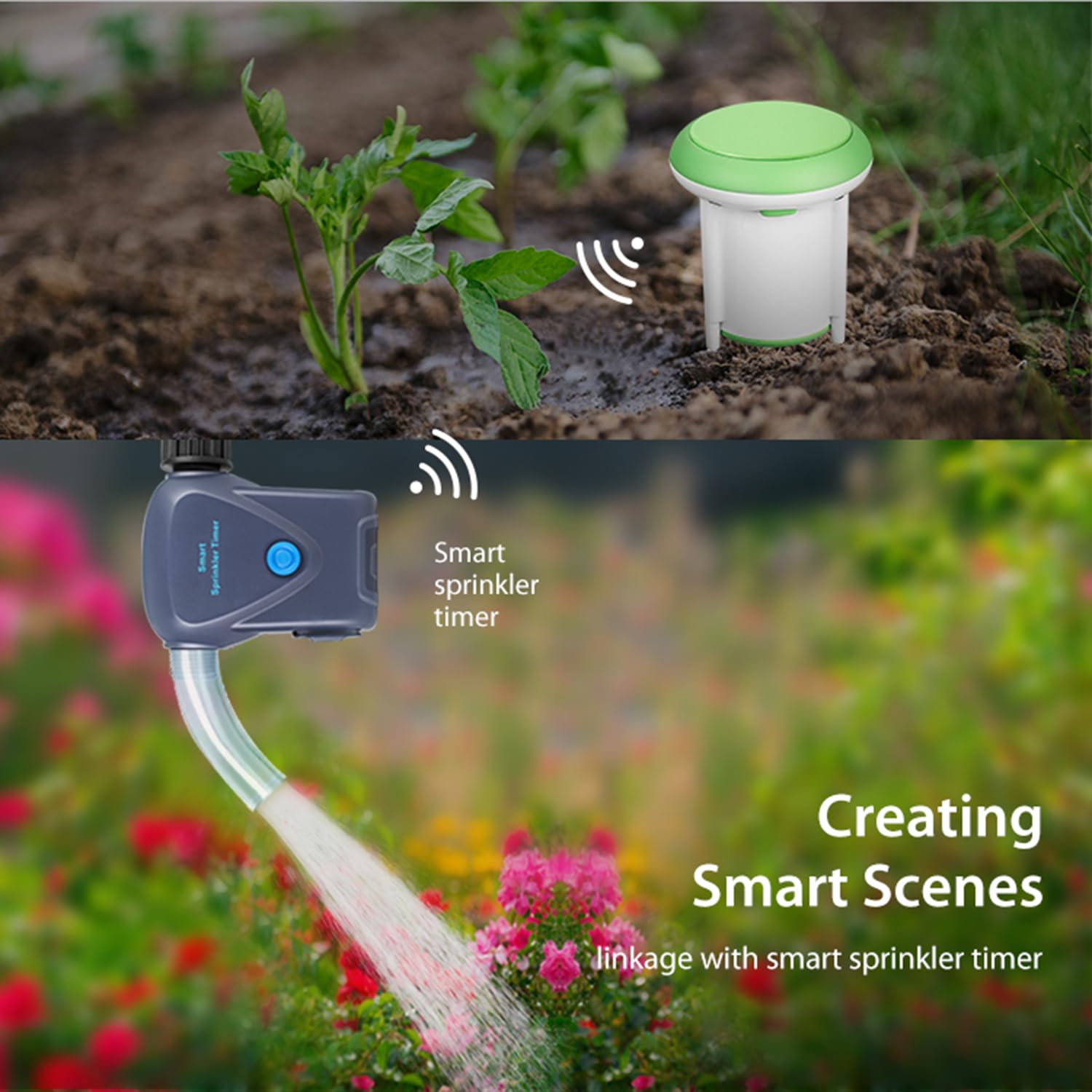 Misuratore di umidità del suolo intelligente: Zigbee tester del suolo con sensore di umidità/temperatura, controllo app Smart Life, dati affidabili, Hub Tuya Zigbee richiesto, sensore di umidità del