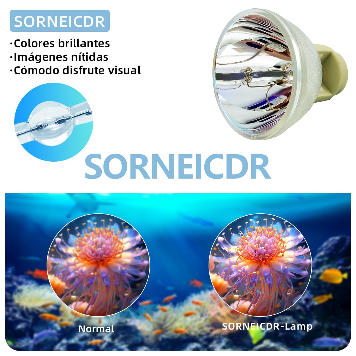 P-VIP 180/0.8 E20.8 Lampada proiettore di ricambio per OPTOMA BL-FP180F FX.PA884-2401 DS327 DS329 DS550 DX327 DX329,BENQ 5J.J0W05.001 W1000 W1000+ HP3920 5J.J1X05.001 MP626 MP70