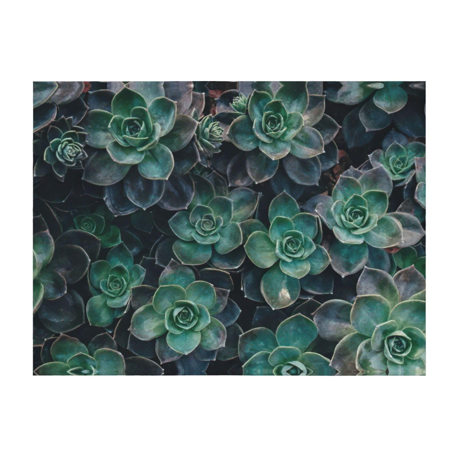 Couverture légère lit canapé chaise toutes saisons imprimé succulentes
