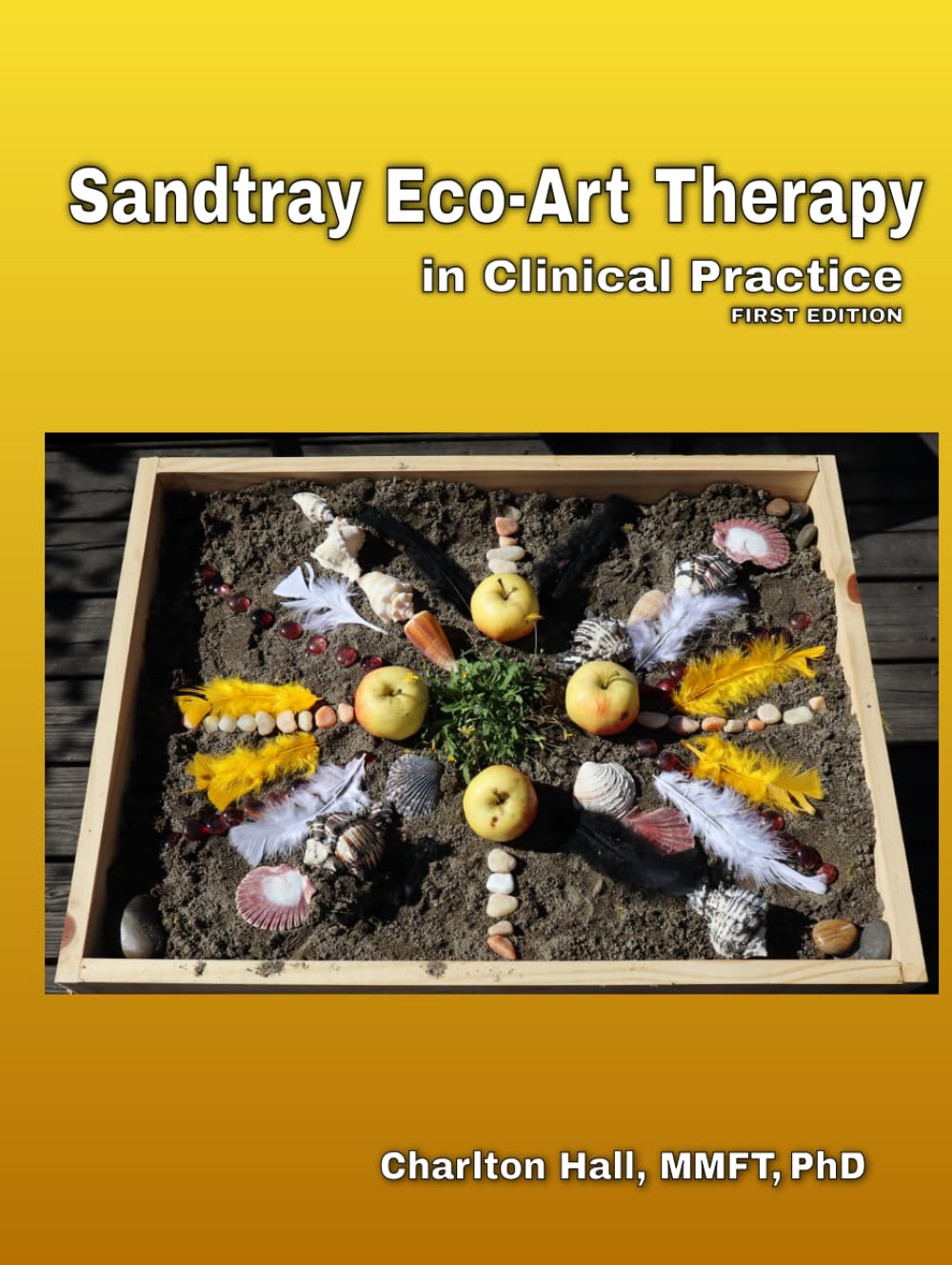 Sandtray Eco-Art Therapy in Clinical Practice