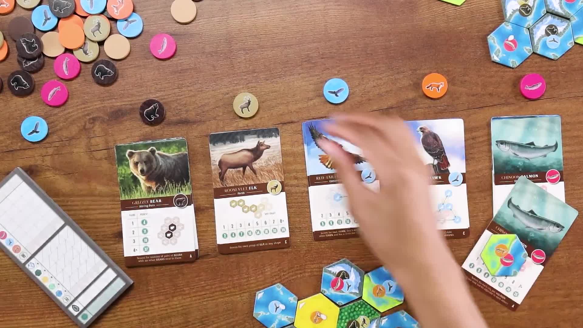 Alderac Entertainment Group (AEG) Cascadia: Juego de mesa para 1-4 jugadores, edad recomendada 12 , género Ecología, tema Cascadia, ecosistemas del noroeste Pacífico, tiempo de juego 30-45 minutos Alderac Entertainment Group (AEG) Cascadia: Juego de mesa para 1-4 jugadores, edad recomendada 12 , género Ecología, tema Cascadia, ecosistemas del noroeste Pacífico, tiempo de juego 30-45 minutos
