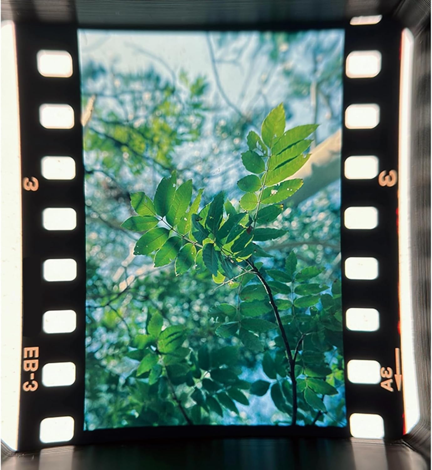 Lupa De Enfoque para Película De 135 Mm, Lupa Profesional De 5 Aumentos para Fotografía, con Lentes Ópticas Acromáticas, Lupa De Cristal, para Inspección De Negativos, Diapositivas Y
