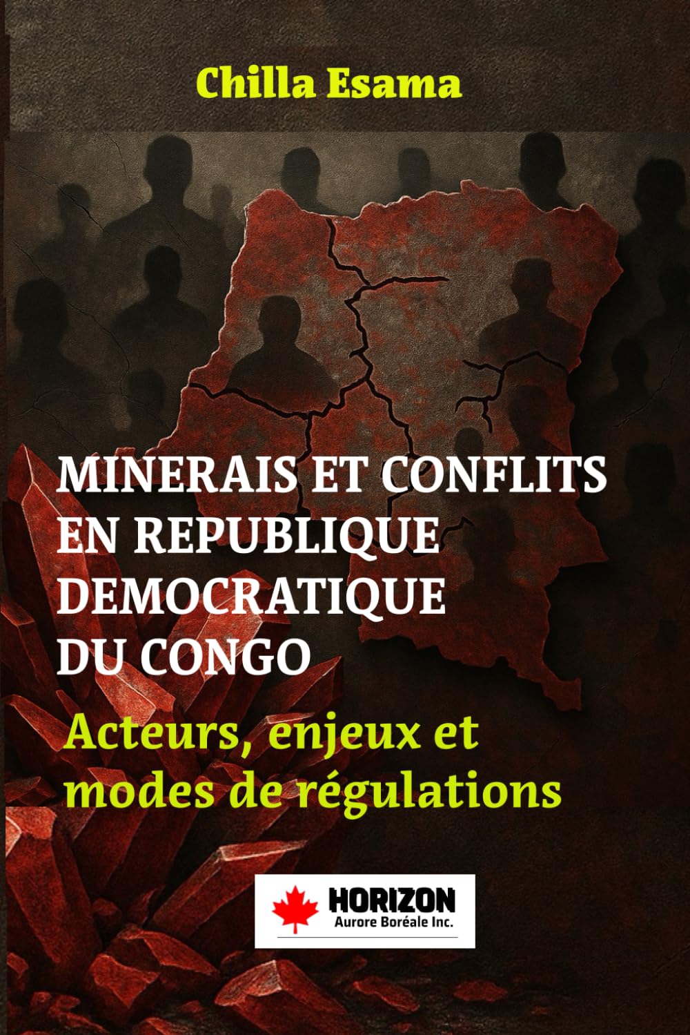 MINERAIS ET CONFLITS EN RÉPUBLIQUE DÉMOCRATIQUE DU CONGO: Acteurs, enjeux et modes de régulation (La RDC en mutations : de la guerre des ressources à ... pouvoir, agriculture et IA) (French Edition)