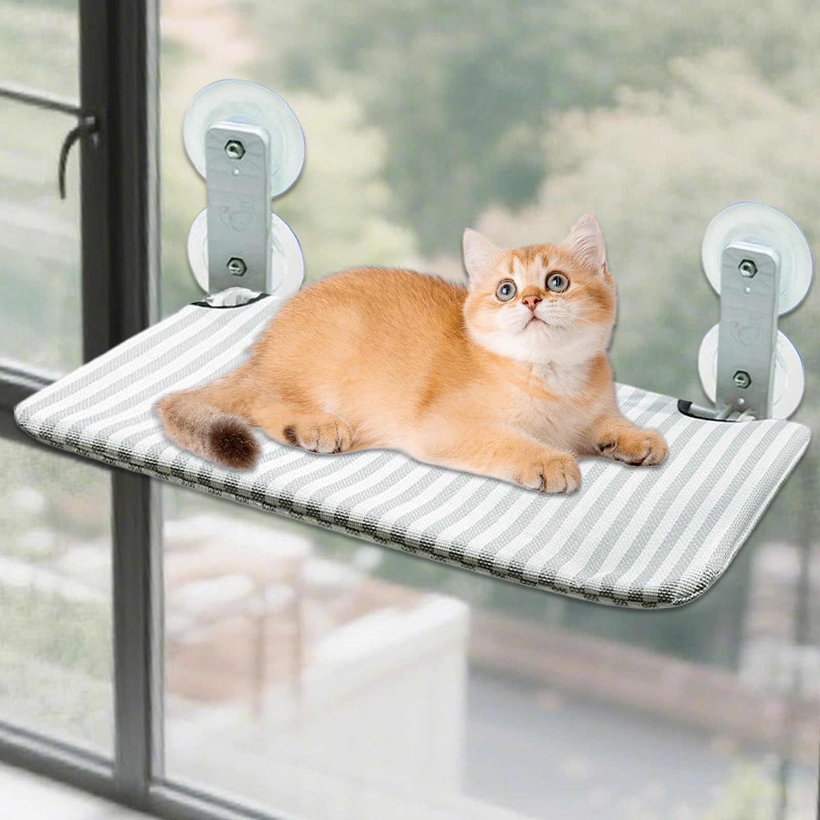 Gatti Davanzale – Multifunzionale Pieghevole Gatti Amaca Per La Parete,Ormeggio Imbottito Con Ventosa di Fissaggio Per Armadio Letto Possibilità di Arrampicata Senza Fili Gattini | Cuscino Pieghevole con Attacco a per Interno ed Esterno per in Camera da ,
