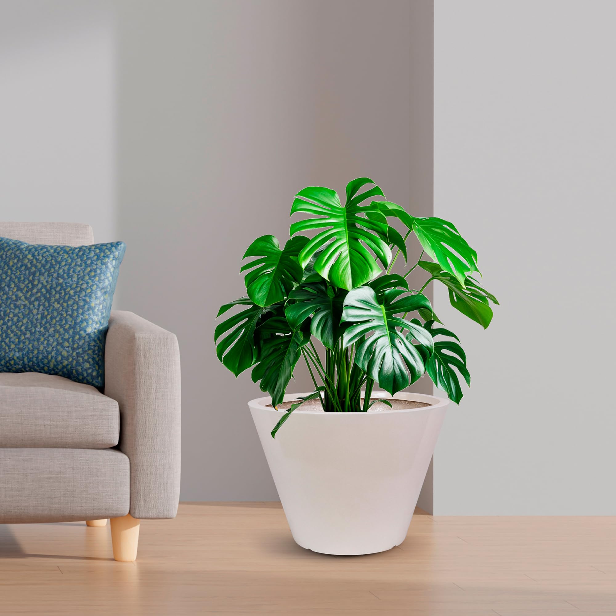 Vega Planter, Fibreglass Planter for Indoor Outdoor and Garden(Lotus Small Plant Pot - Size:- Height:7.87 Inch, Width: 15.74 Inch), White Color (B0CV135562) Amazon Price History, Amazon Price Tracker