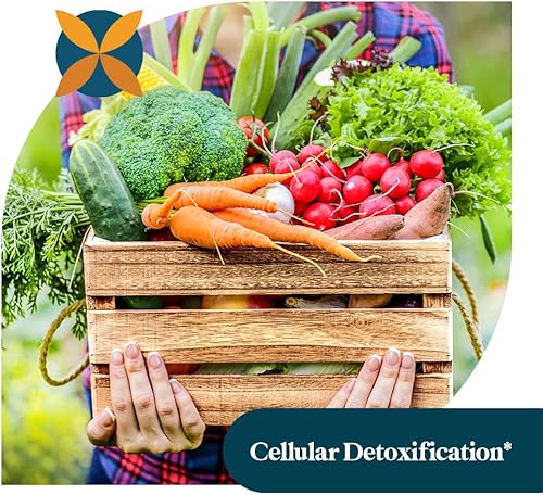 Miniatura 6 de Wholesome Organics Ajo orgánico sin olor  1000 mg  Apoyo inmune, circulatorio y cardiovascular  Promueve una digestión saludable  Sin OMG y sin