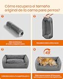 Ver la foto 8