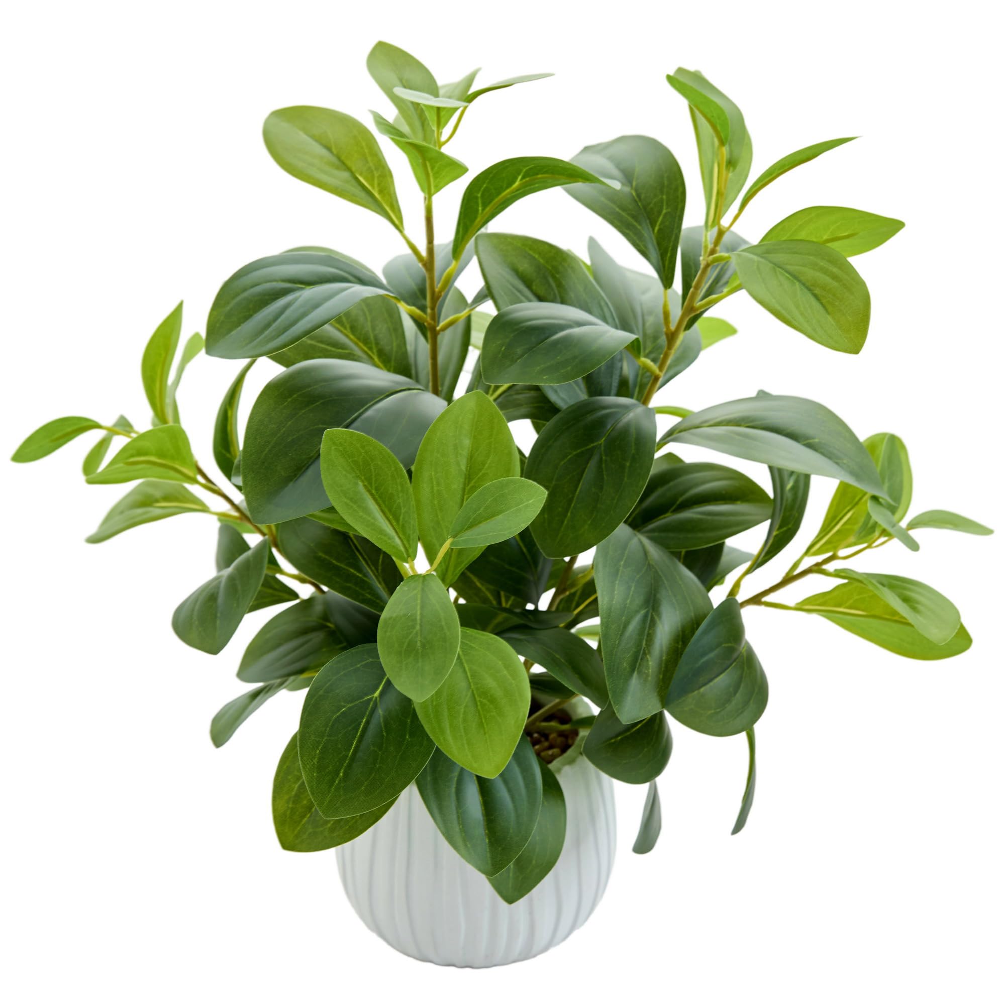 AlphaAcc Small Fake Plants Indoor for Office Bathroom Shelf Decor
