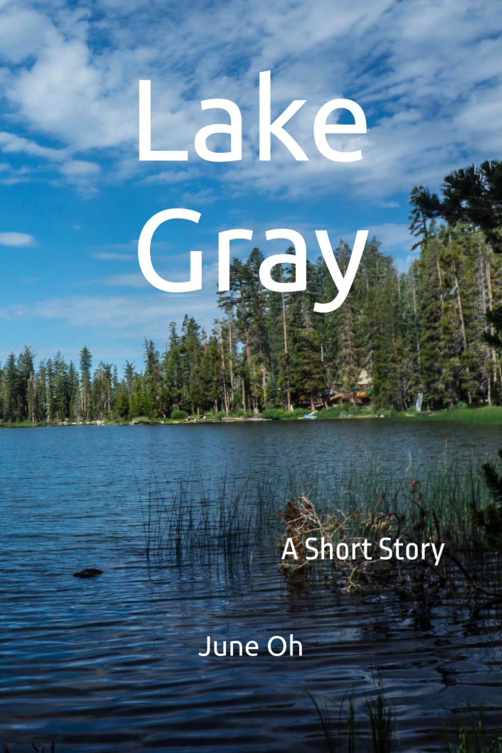 Lake Gray: A Short Story