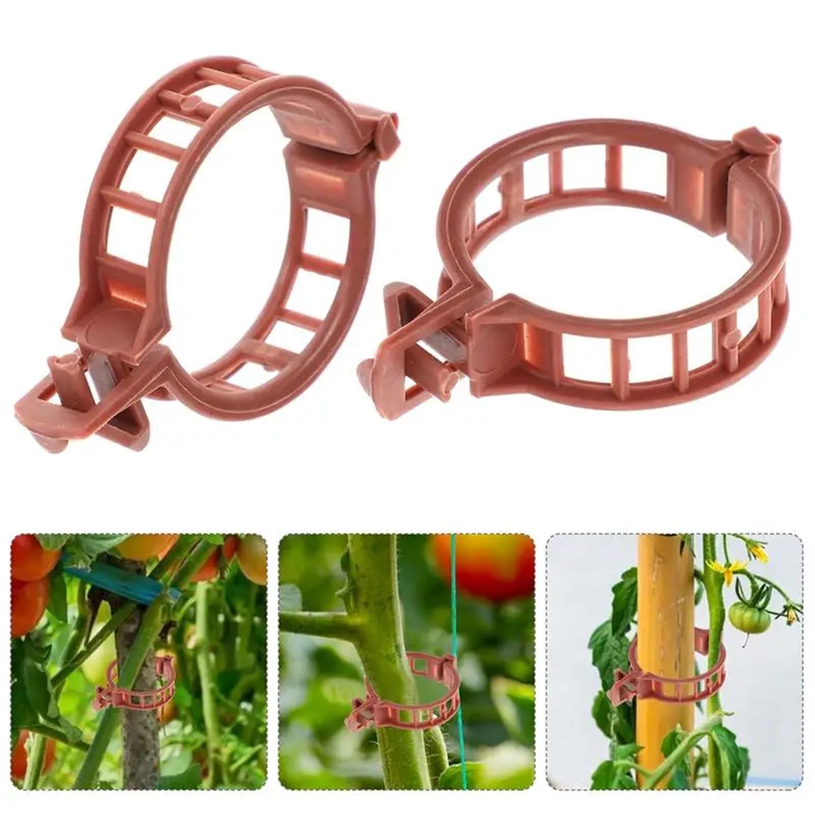 Mollette di sostegno per piante da giardino, Clip di supporto for piante in plastica marrone for steli di pomodori in serra 100 pz