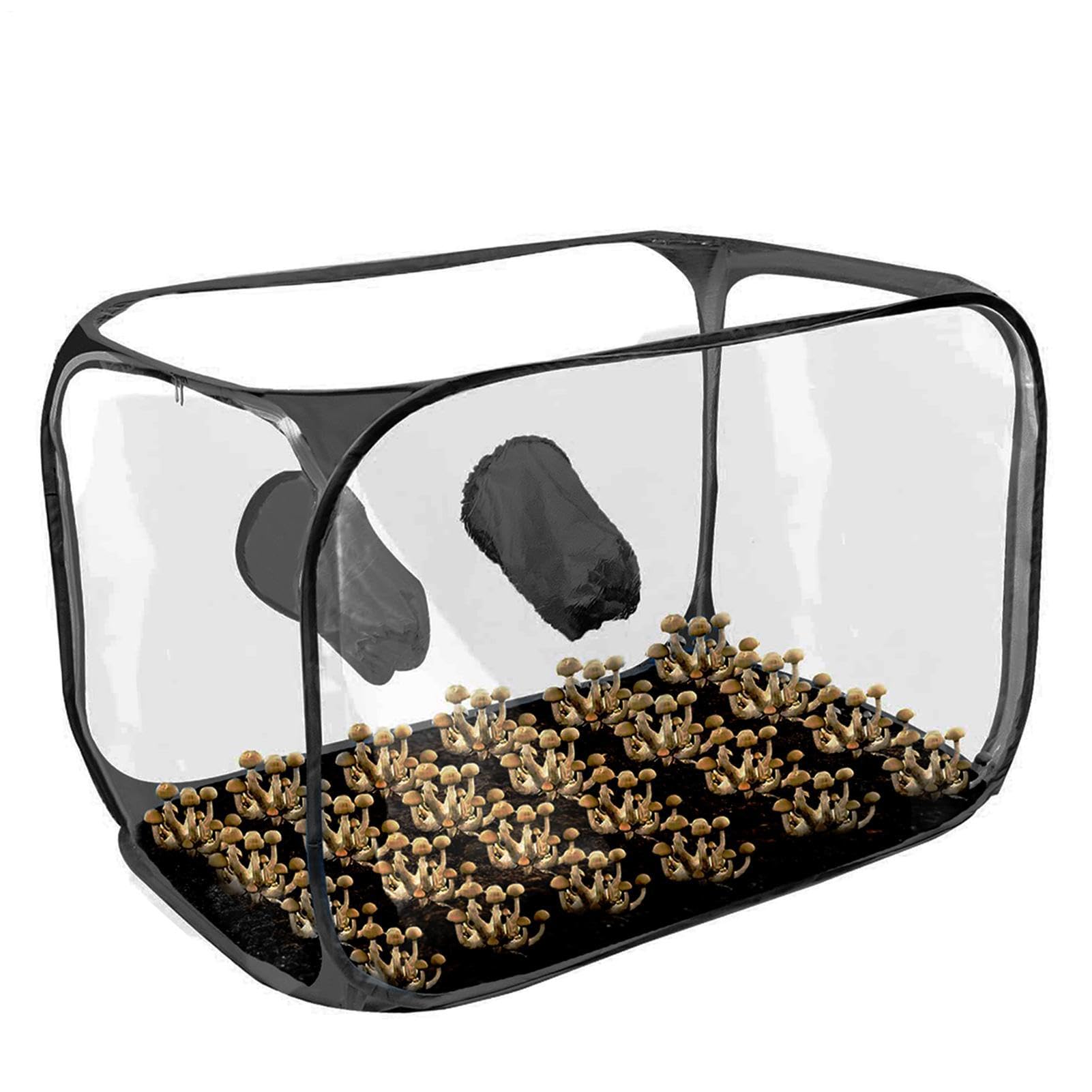 Still Air Box Station de propagation pliable ventilée 76 x 43 x 44,5 cm pour appartement urbain, jardin, culture , projets scolaires, balcon, jardinage