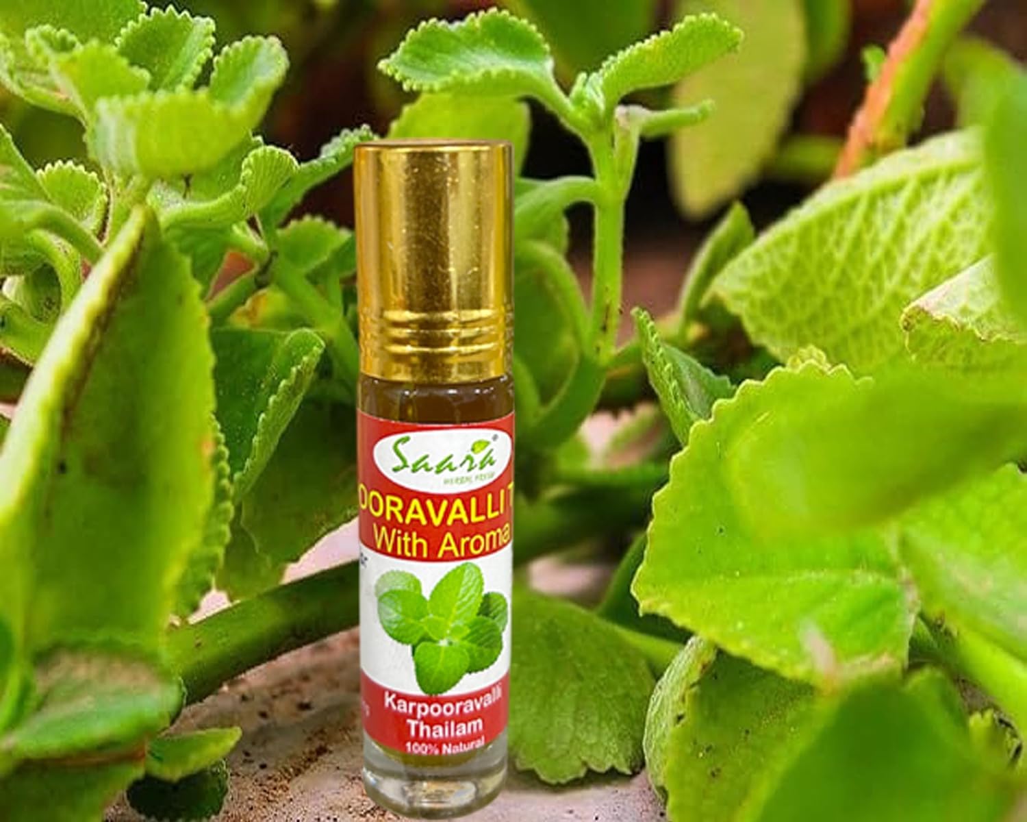 VS Products Karpooravalli Thailam, (16ml) Coleus Amboinicus,Omavalli Leaves Oil, for Cough and Cold, (Pack of 2) 1
