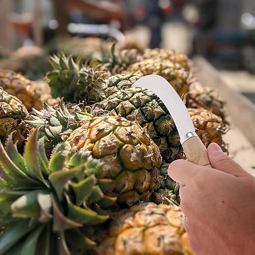 Miniatura 7 de Abaodam Cortador de césped hoz cuchillo japonés sierra de hierba poda - Mango de madera multifuncional de acero inoxidable, mango de madera, fruta,