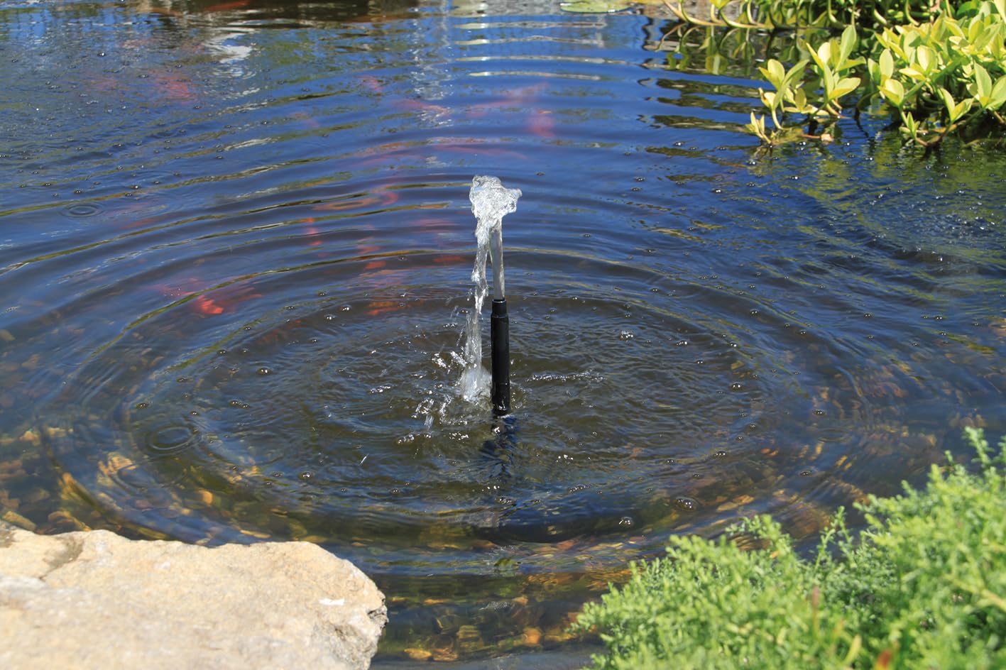 esotec Pompe de bassin WaterSplash 470 avec kit d'arrosage - Pompe de fontaine 12 V/CC pour étang de jardin et jeu d'eau - Pompe de rechange IP68 101050