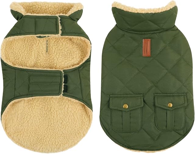 CITÉTOILE Warm Winter Dog Coat, Waterproof Jackets with Fleece for Chihuahua Dackel, Dog Costume for Cold Season, Dog Pullover for Small/Large/Medium Dogs, Green, XS
