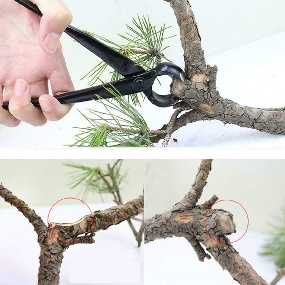 Best Promo Adikoo Bonsai Tools 10PCS Kit with Case,Carbon Steel Scissor Cutter Shear Set Garden Plant Tree Tools Free Shipping Offer Adikoo Bonsai Tools 10PCS Kit with Case,Carbon Steel Scissor Cutter Shear Set Garden Plant Tree Tools