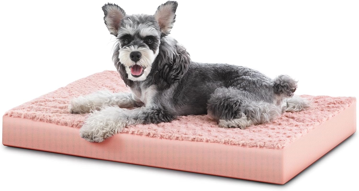 JOEJOY Orthopedic Dog Bed for Medium Small Dogs, EggCrate
