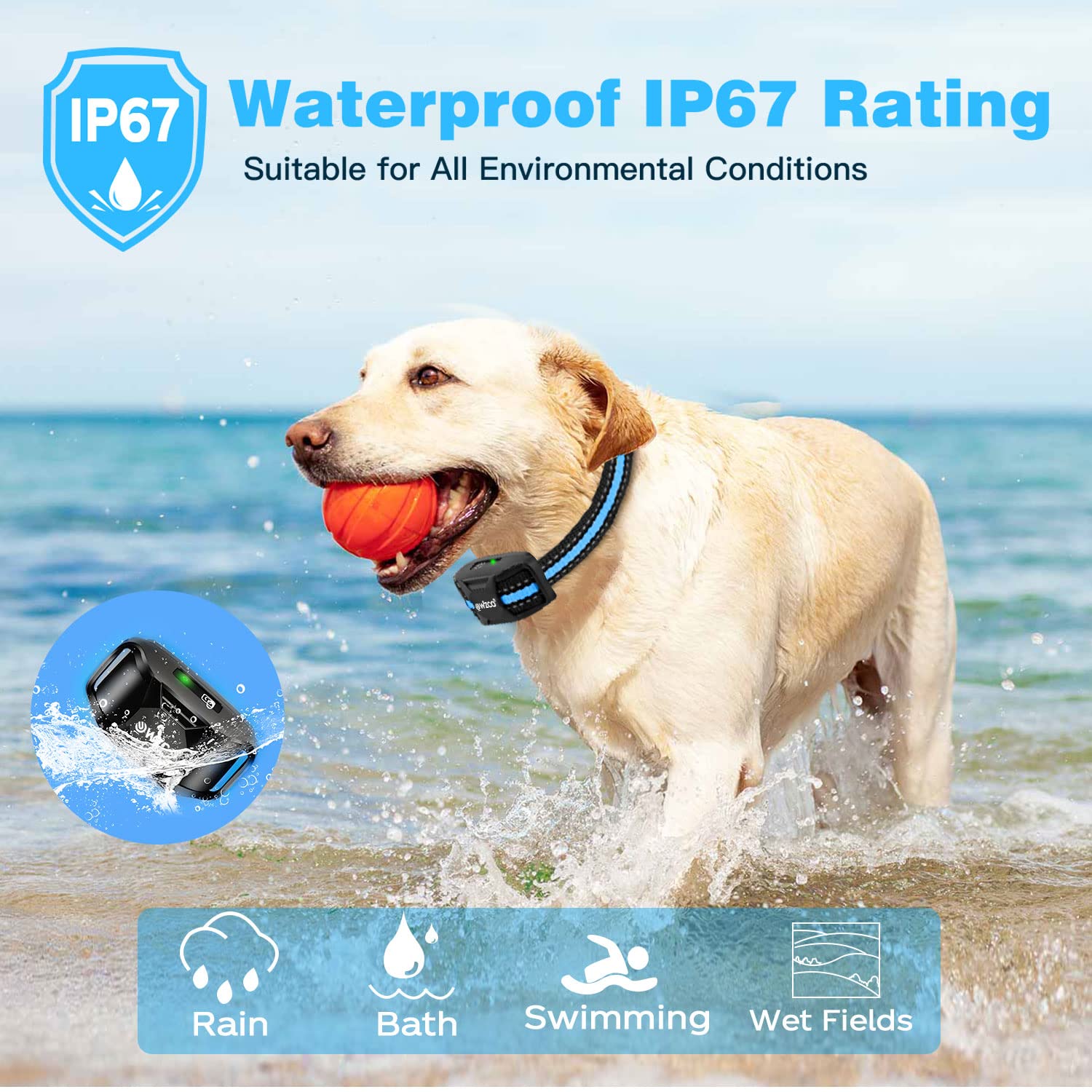 Pet Supplies Peston Shock Collar For Dogs Desertcart Peston Dog