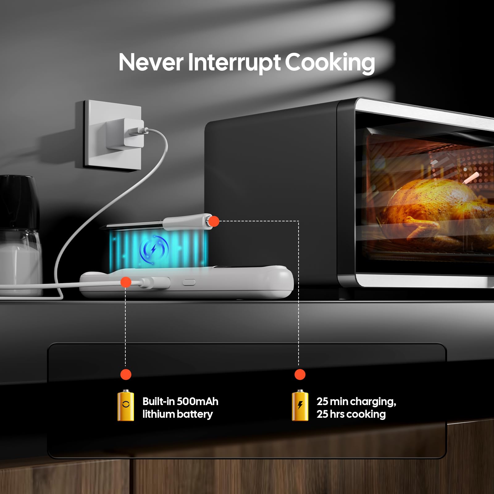 INKBIRD Termometro per Carne Wireless Bluetooth 5.4 305m IP67 Impermeabile